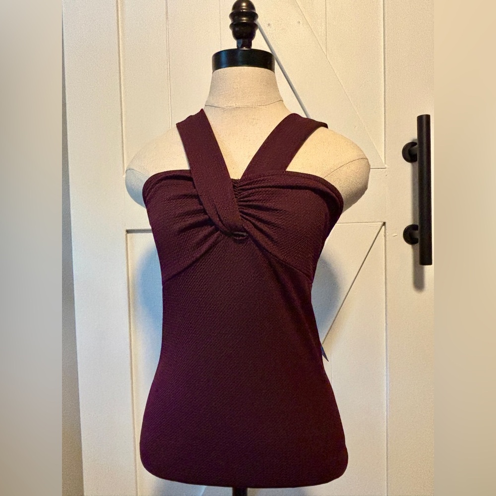 Express Burgundy Bodysuit